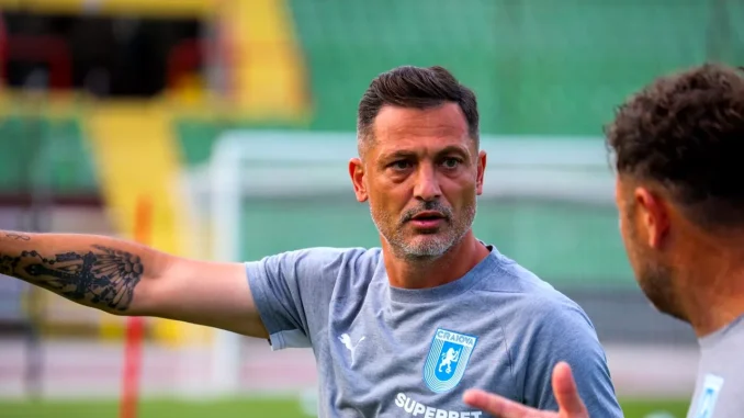 Mirel-Radoi